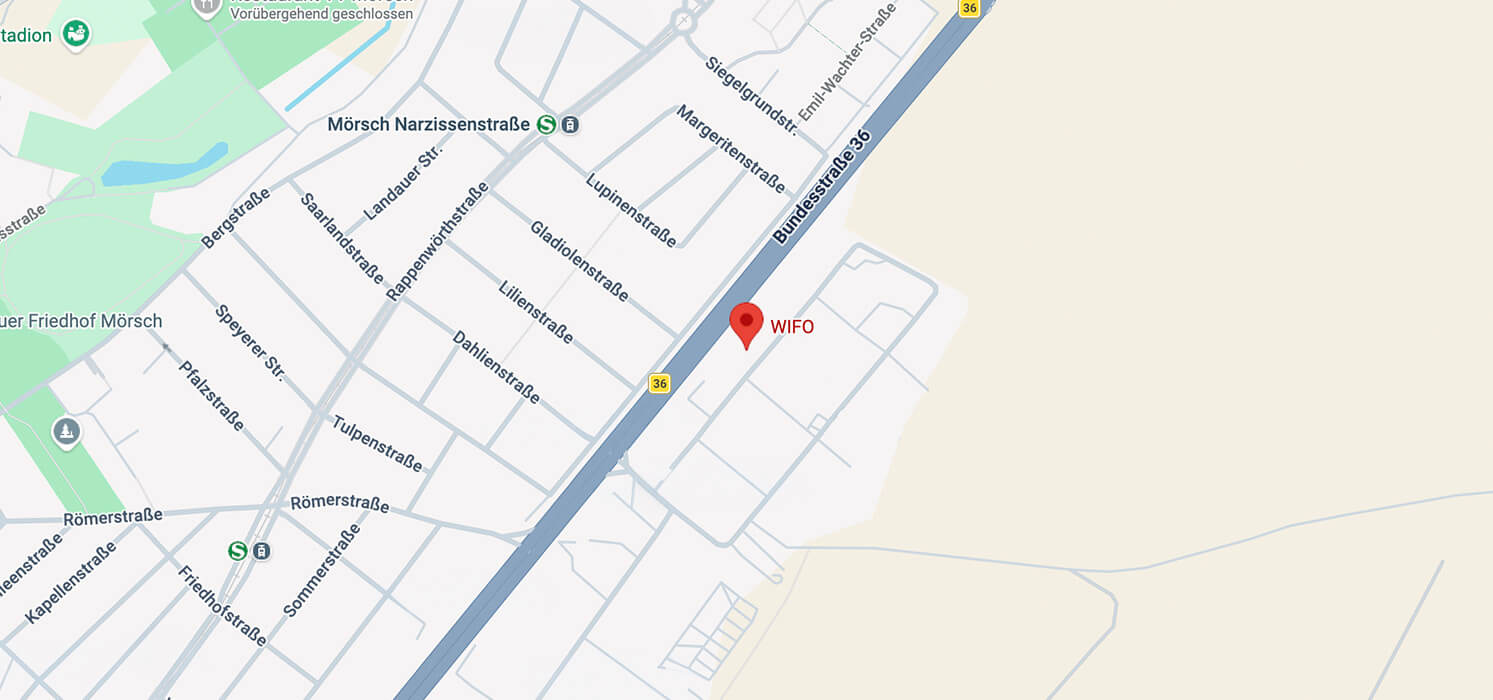 dummy-map