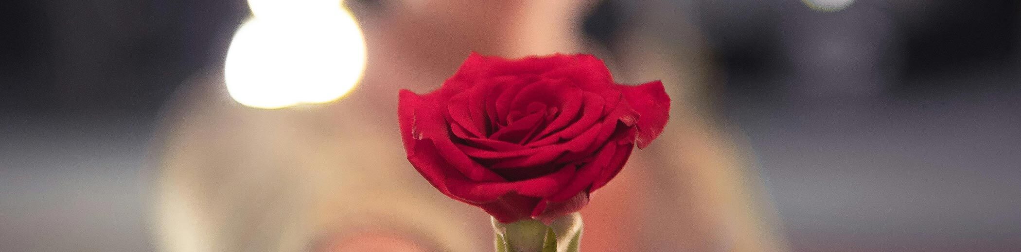 Eine rote Rose wird vom einer Person gehalten, die man unscharf im Hintergrund sieht