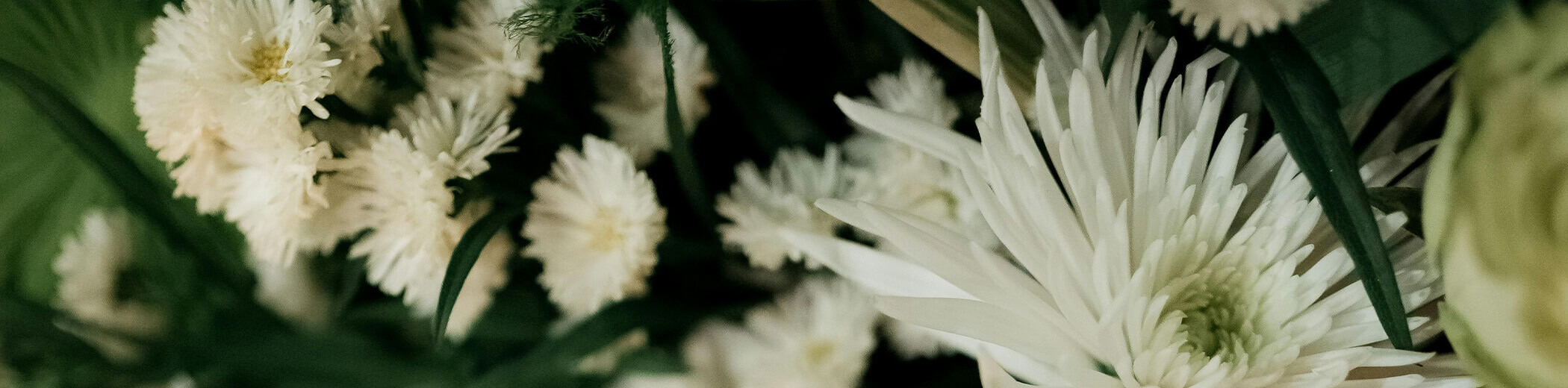 Nahaufnahme von weißen und hellgrünen Blüten, darunter Rosen und Chrysanthemen, umgeben von grünem Laub.